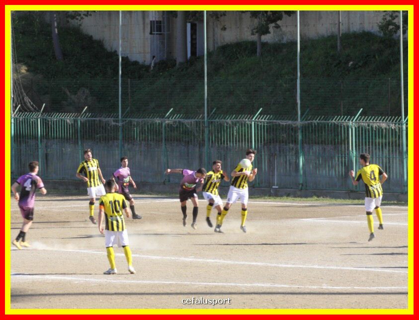 190310 Cephal_Torrenov 104_tn.jpg